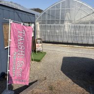 TAiSHi farm 直売所とハウス(奥)