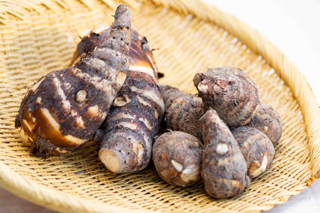 伝統野菜「海老芋」　（提供：株式会社おかもと農園）