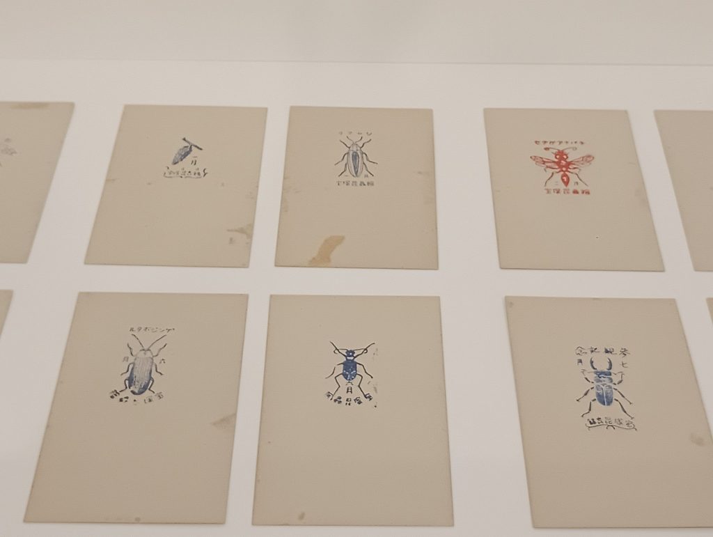 宝塚昆虫館 昆虫スタンプ付記念はがき 昭和14(1939)年以降 宝塚市立中央図書館蔵