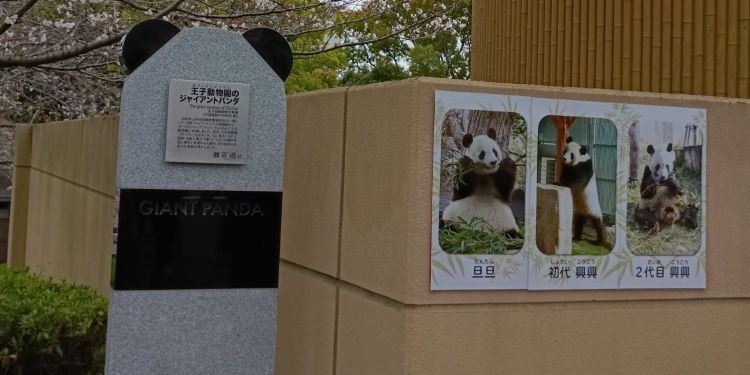 コウコウ・タンタンありがとう 多くの人に勇気と希望を与えたパンダの石碑を設置 神戸市立王子動物園