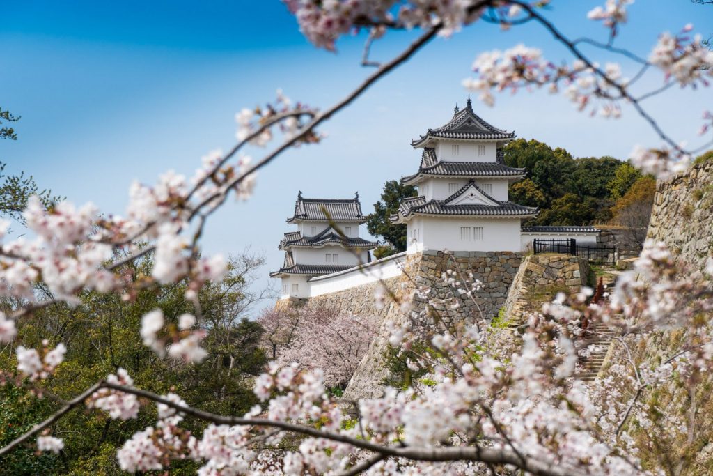 明石城　（提供：ぶらり子午線観光ガイド連絡会）