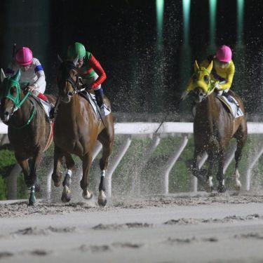 園田競馬場の金曜ナイター競馬、5月15日開幕