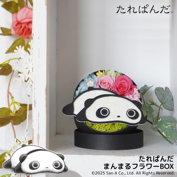 「たれぱんだ まんまるフラワーBOX」　(C)San-X Co., Ltd. All Rights Reserved.
