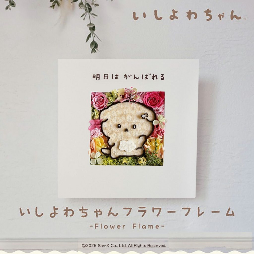 「いしよわちゃん」　(C)San-X Co., Ltd. All Rights Reserved.