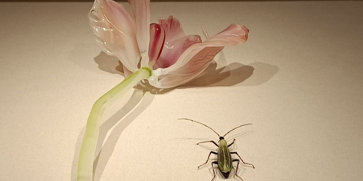 唯一無二のガラスワーク 繊細な技術に驚き ガラス細工職人ブルーノ・アマディの世界を神戸で堪能