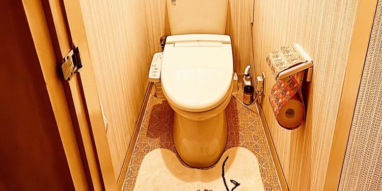 【なぜ?】家のトイレには髪がいっぱい落ちているのか!? 抜けやすい原因ある? ←『バズろぅ!』