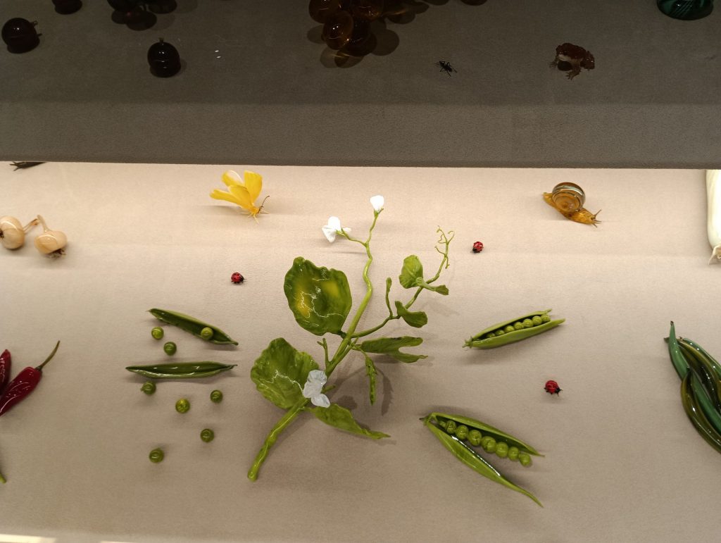 植物とエンドウなど