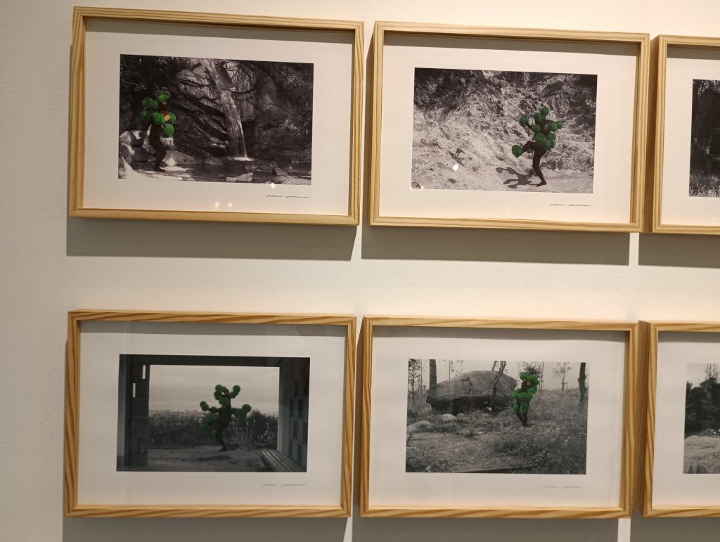 山村幸則 上段:『芦屋体操第一』2012年下段:『芦屋体操第二』2016年(いずれも一部) 写真 2024年度寄贈 芦屋市立美術博物館蔵