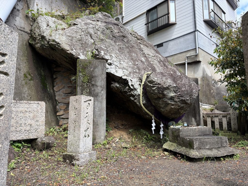 どんがめっさん