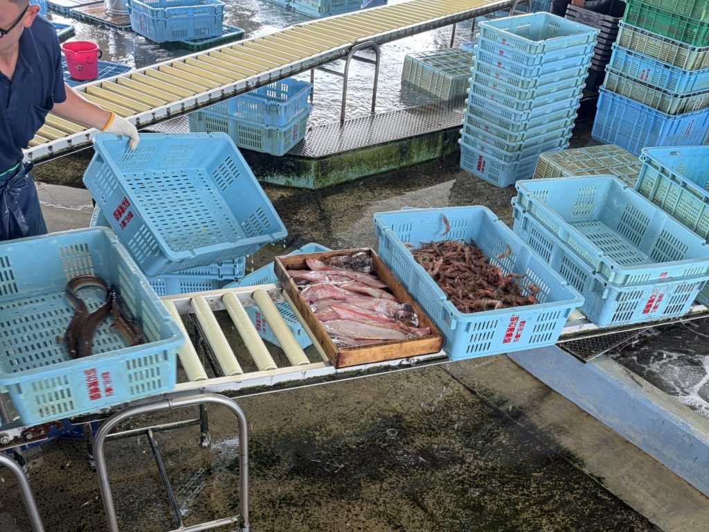 昼頃から行われるセリの様子