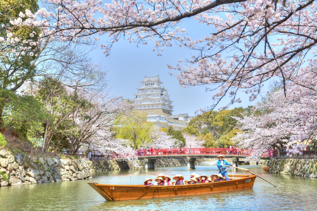 世界遺産・国宝「姫路城」桜の季節も多くの人を魅了する（画像提供：中播磨県民センター）