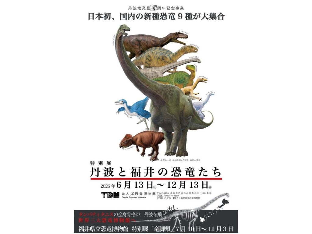 たんば恐竜博物館では特別展「丹波と福井の恐竜たち」が開催されている（画像提供：丹波県民局）