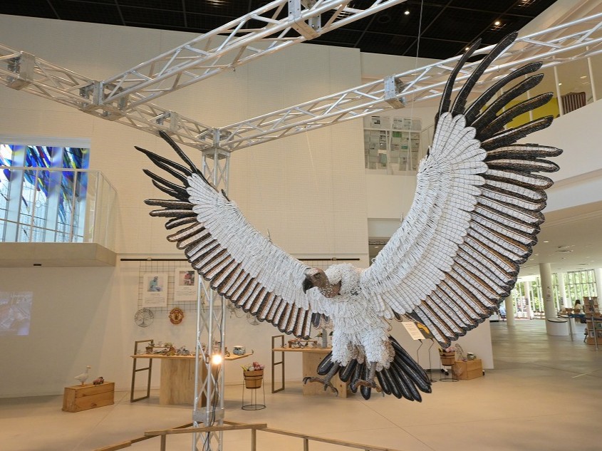 出品作品「ケープハゲワシ」（前回の展示風景 / 2024年）　画像提供：宝塚市立文化芸術センター