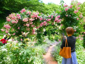 ローズの花でできたゲート