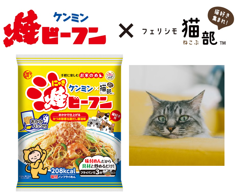 猫×焼ビーフン＝「にゃきビーフン」 神戸の企業がコラボ  トピックス 